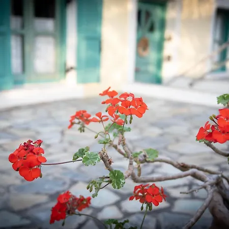 Kos Gaia Garden House Hébergement de vacances