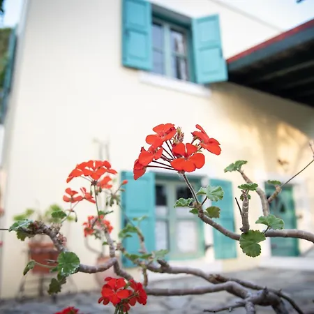 Kos Gaia Garden House *