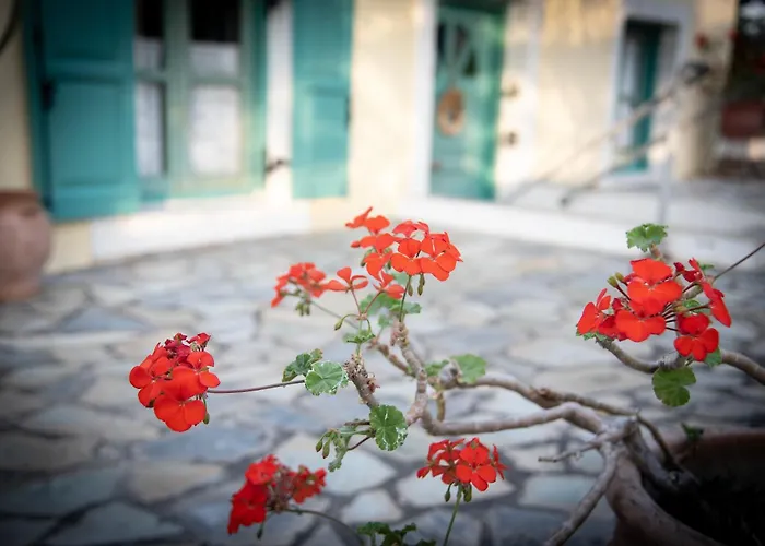 Kos Gaia Garden House Vakantiehuis